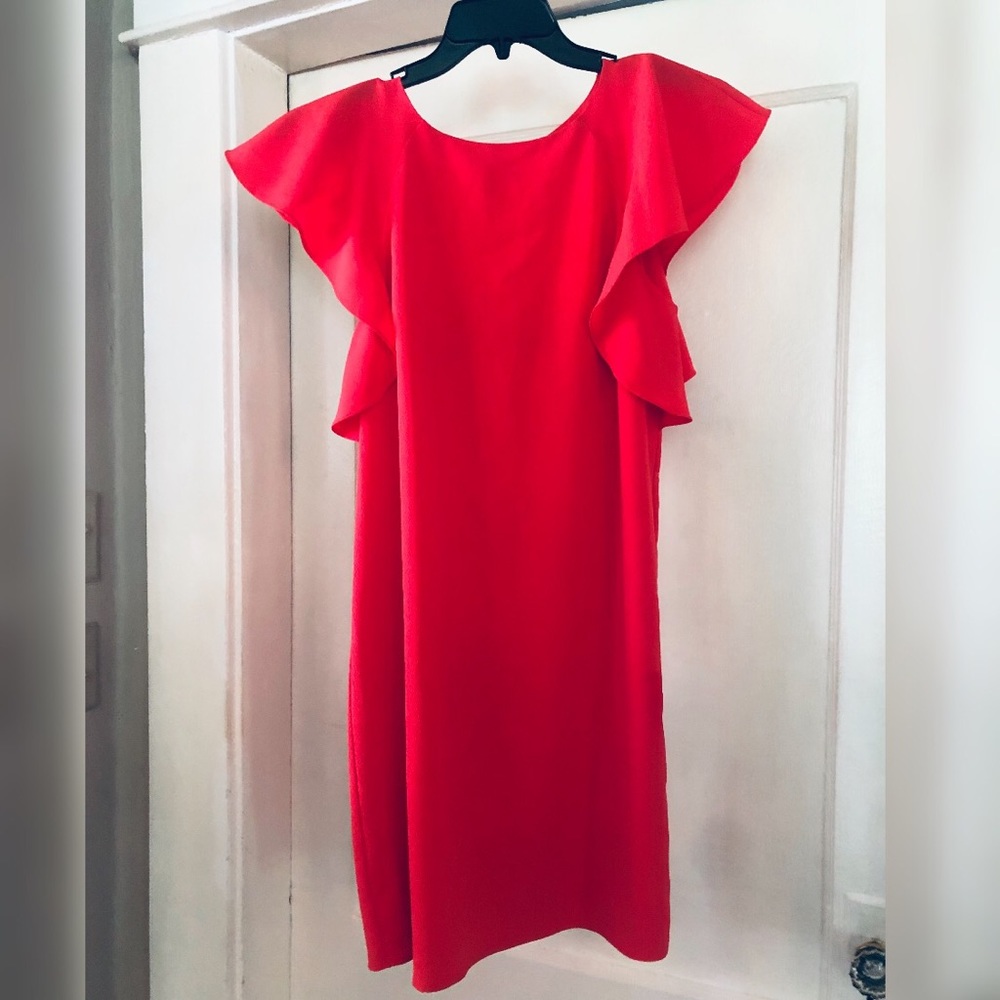 Madison Ruffle Sleeve shift dress